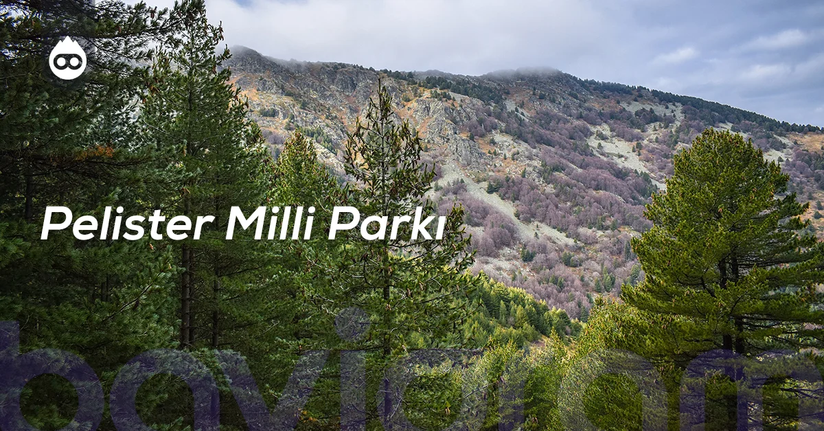 Kuzey Makedonya Gezilecek Yerler Pelister Milli Parkı