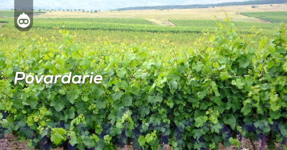 Kuzey Makedonya Gezilecek Yerler Povardarie