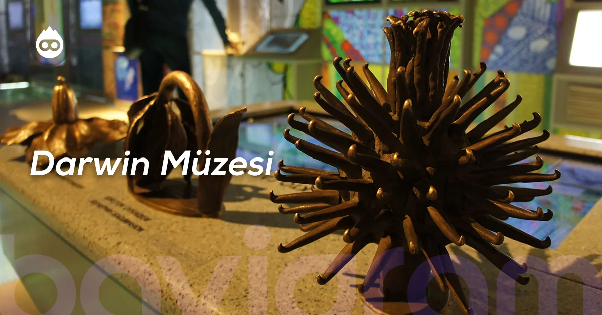 Moskova Gezilecek Yerler Darwin Müzesi