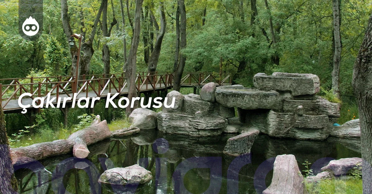 Samsun Gezilecek Yerler Çakırlar Korusu