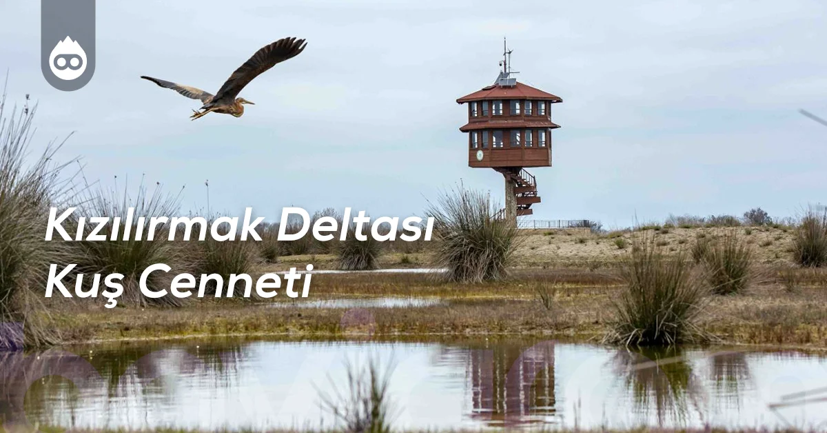 Samsun Gezilecek Yerler Kızılırmak Deltası Kuş Cenneti