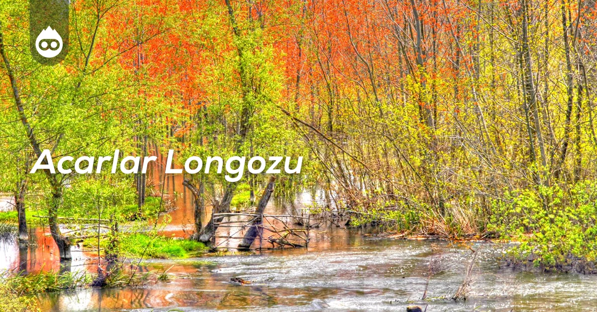 Sapanca Gezilecek Yerler Acarlar Longozu