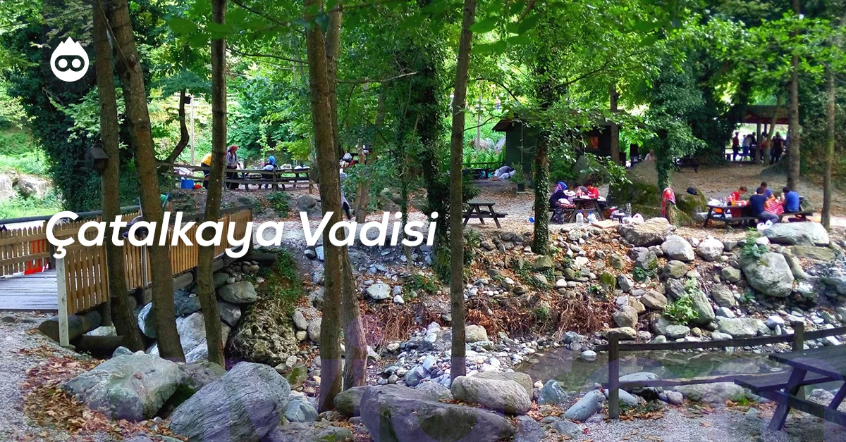 Sapanca Gezilecek Yerler Çatalkaya Vadisi