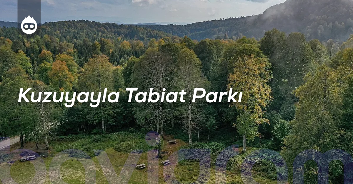 Sapanca Gezilecek Yerler Kuzuyayla Tabiat Parkı