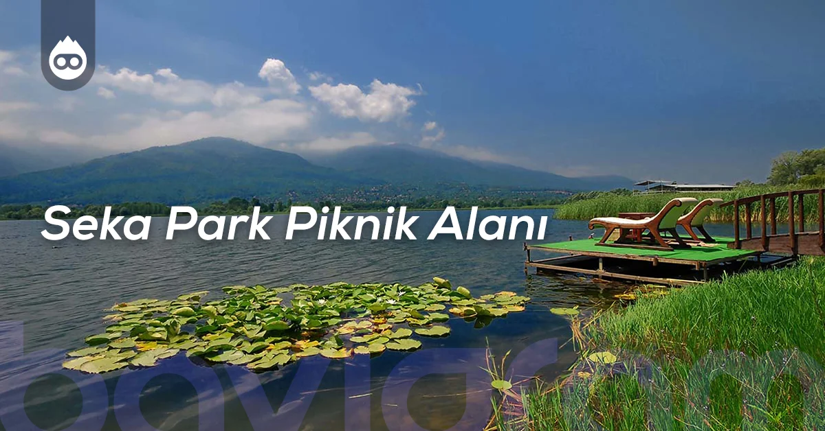 Sapanca Gezilecek Yerler Seka Park Piknik Alanı