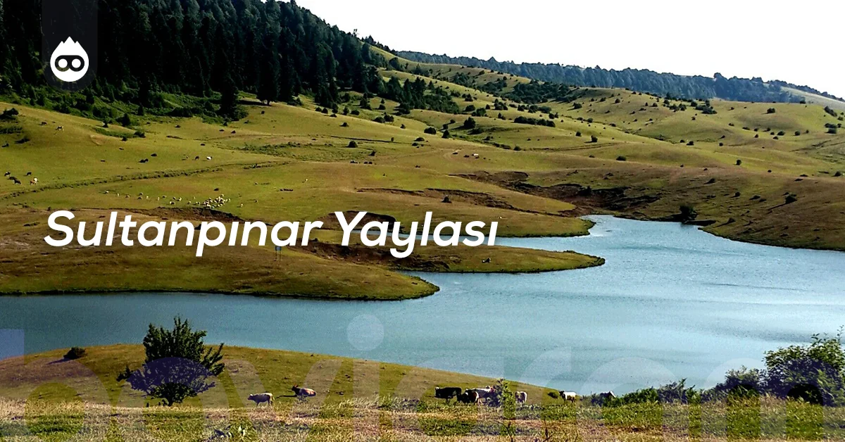Sapanca Gezilecek Yerler Sultanpınar Yaylası