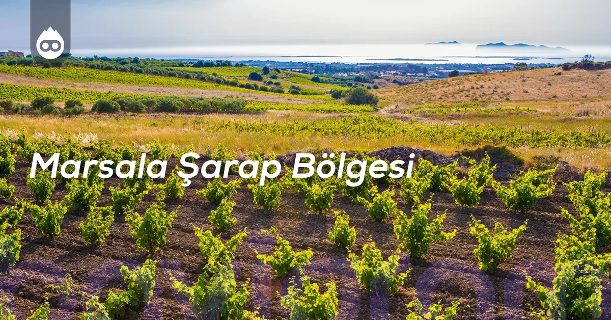 Sicilya Gezilecek Yerler Marsala Şarap Bölgesi