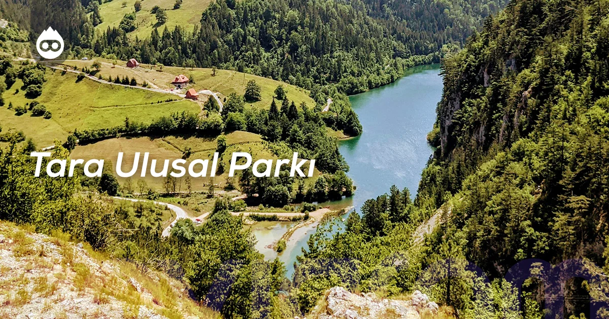 Sırbistan Gezilecek Yerler Tara Ulusal Parkı