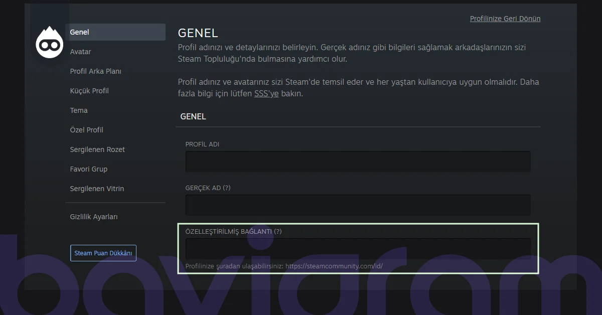 Steam Bağlantı Özelleştirme Nasıl Yapılır