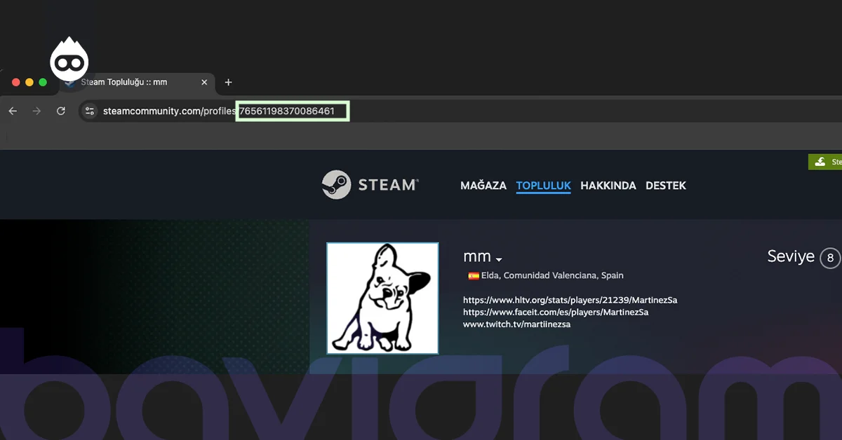 Steam ID Nasıl Öğrenilir