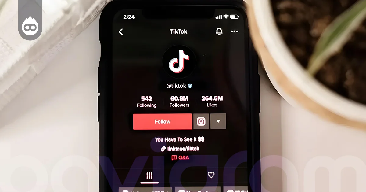 TikTok Gizli Hesap Kullanırken Nelere Dikkat Etmeliyim