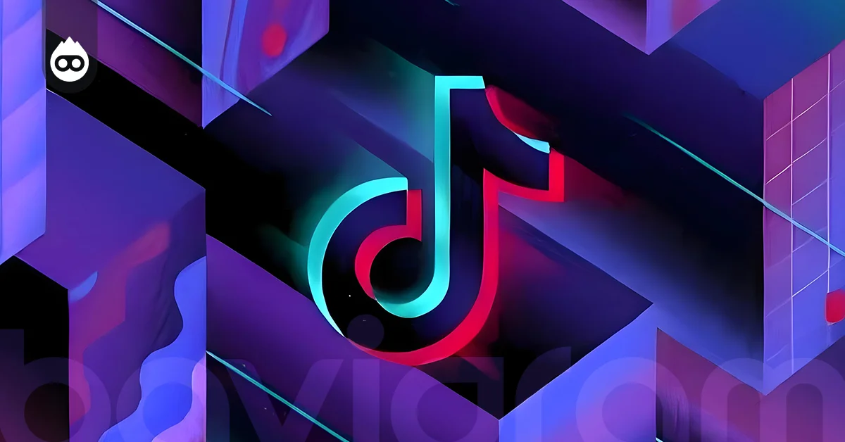 TikTok Video Gizleme Nasıl Yapılır