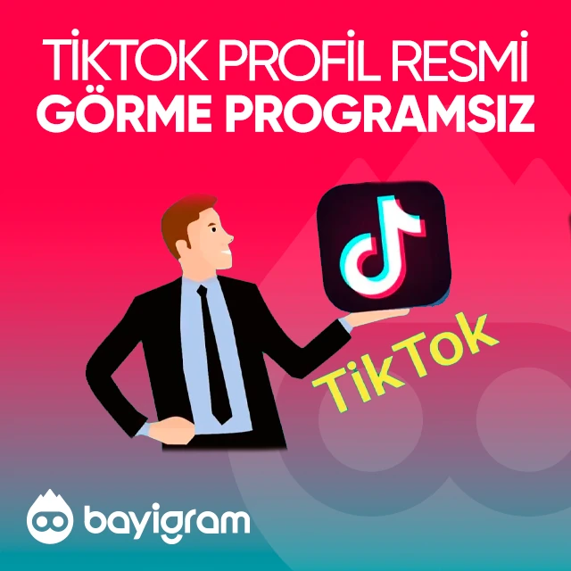 tiktok profil resmi görme programsız