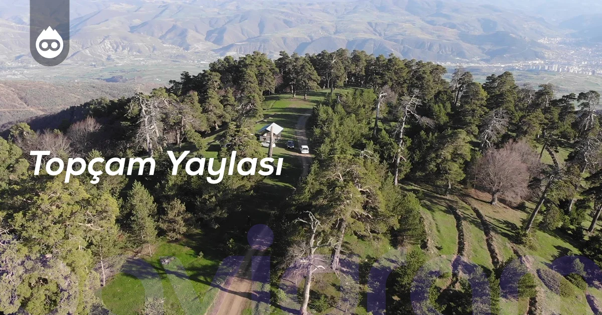Tokat Gezilecek Yerler Topçam Yaylası