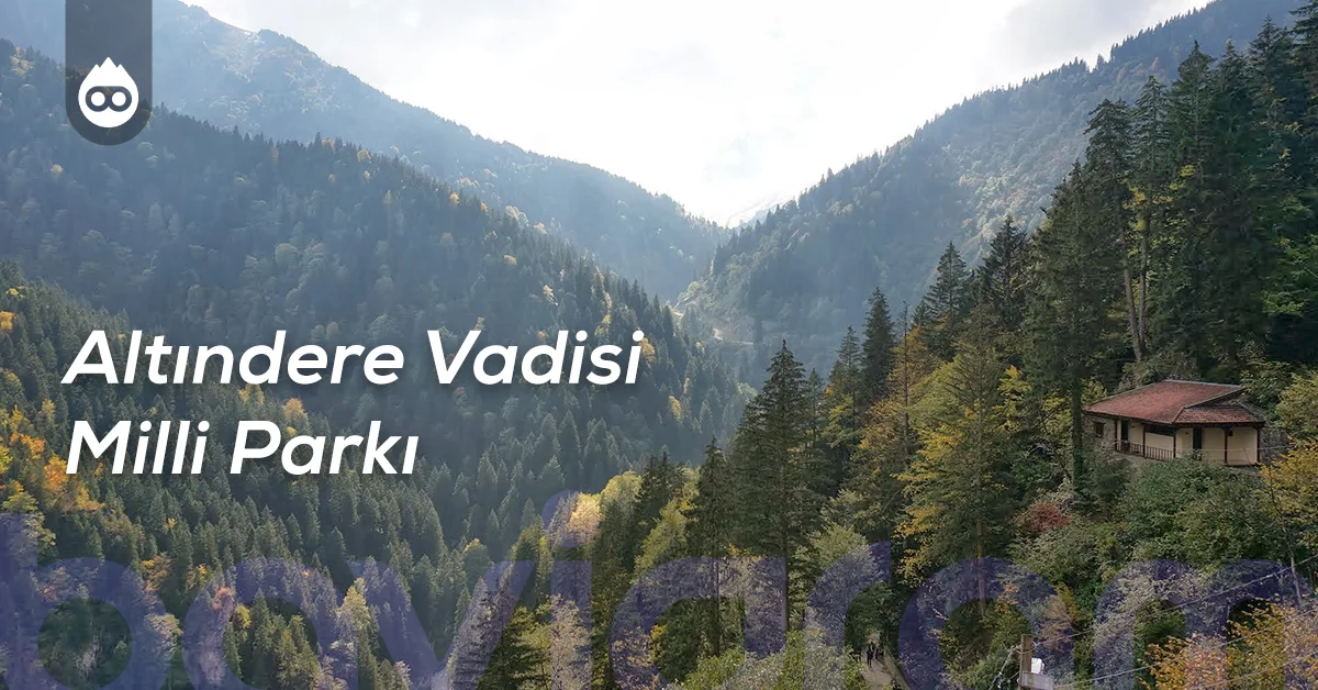 Trabzon Gezilecek Yerler Altındere Vadisi Milli Parkı
