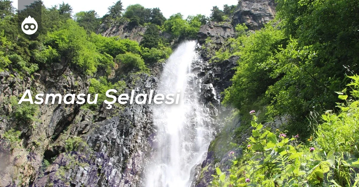 Trabzon Gezilecek Yerler Asmasu Şelalesi