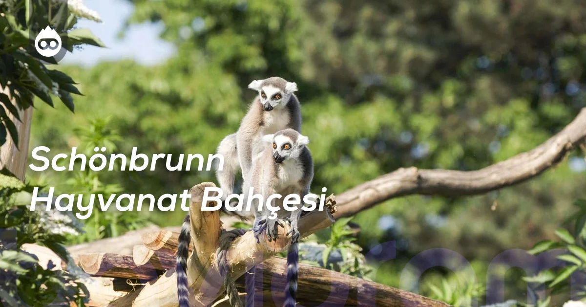 Viyana Gezilecek Yerler Schönbrunn Hayvanat Bahçesi