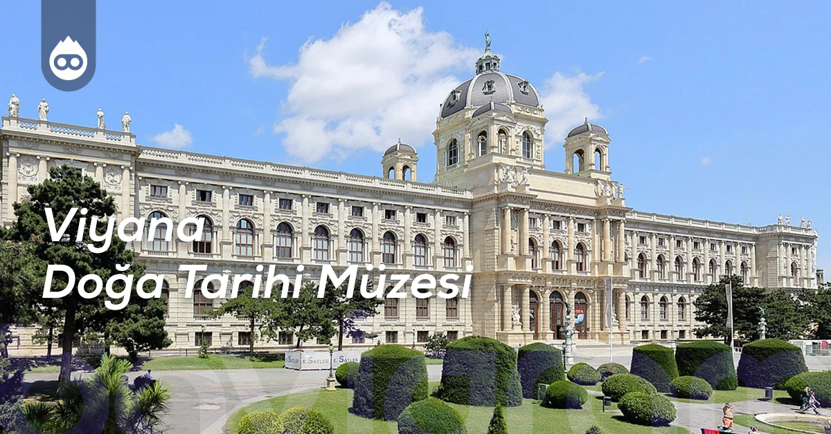 Viyana Gezilecek Yerler Viyana Doğa Tarihi Müzesi