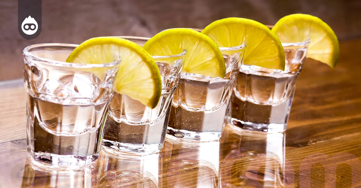 Absolut Votka Fiyatları