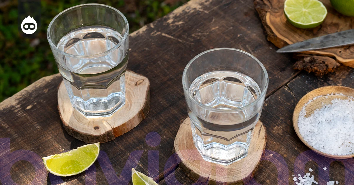 Diğer Markaların Votka Fiyatları